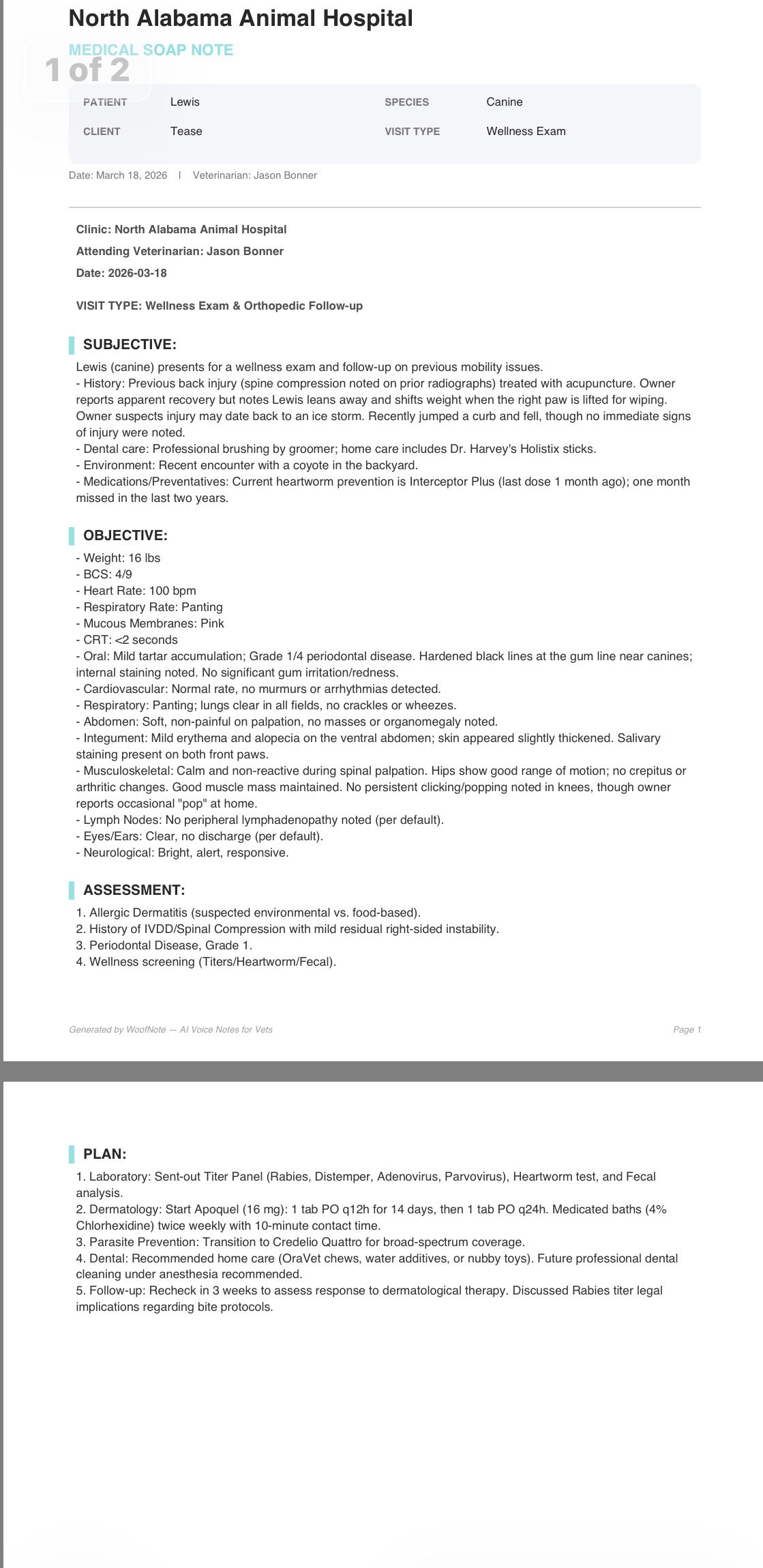 Professional PDF SOAP note